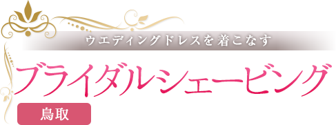 全館解放BIGブライダルフェア開催 | 貸切ゲストハウスウェディング ヴェルージュ（鳥取市）