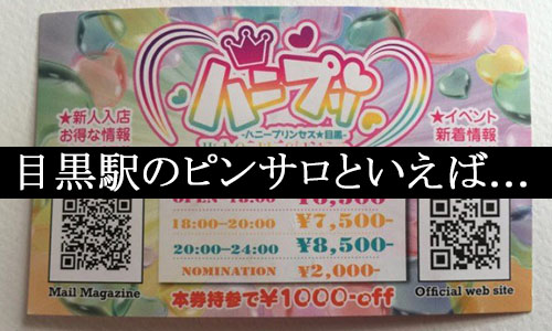 東京都目黒のピンサロで遊ぶなら！人気ランキングBEST3！【2024年最新】 | Onenight-Story[ワンナイトストーリー]