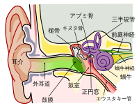 耳そうじサロンeariss-イアリス-【耳掃除・耳かき・イヤーエステ・耳つぼ】東京都目黒区