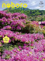 台湾土産の定番・万能アロマオイル【白花油 ロールオン スティック