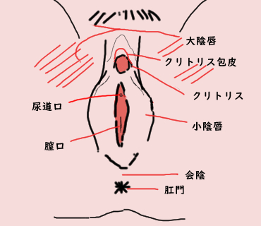 無修正クリトリスを刺激したあとに気持ちよくなって - クリトリス