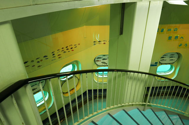 千葉 かつうら海中公園 海中展望塔 入場Eチケット 楽天トラベル