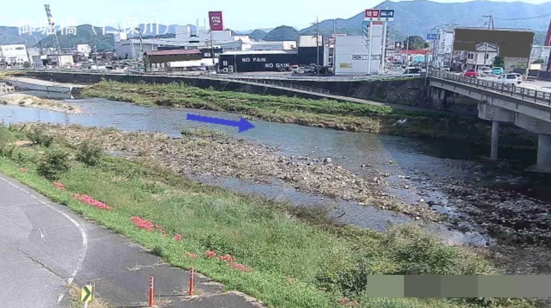 山口市 2024年も、山口市仁保を流れる「仁保川」では色鮮やかな可愛らしい装飾が ！一体何が飾られているの？号外NET 山口市・防府市