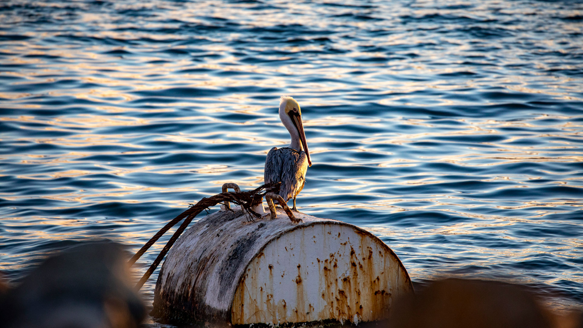 空港コードを覚えてラクラク検索Kimono & Travel