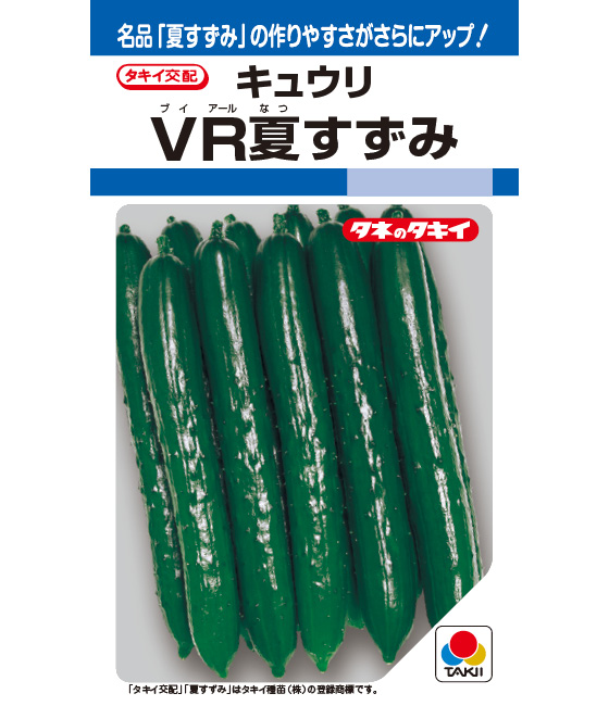 うりふたつシリーズ 夏すずみ(キュウリ)＆シャキットきゅうり2個～【野菜の苗 10.5cmポット 接木苗】｜ 