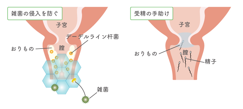 細菌性腟症 | ジャスミンレディースクリニック渋谷・新宿・池袋・東京・大宮