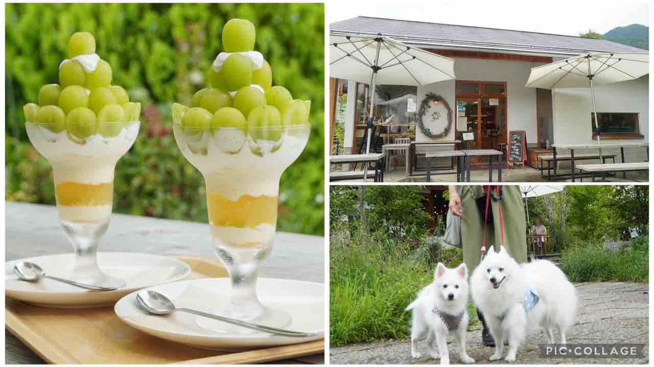 壱の蔵 富士大石ハナテラス 河口湖 お土産-