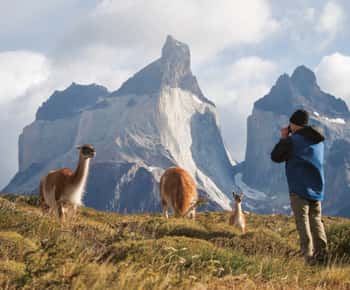 12,800点を超えるTorres Del Paineのストックフォト、写真、そしてロイヤリティフリーの画像 -