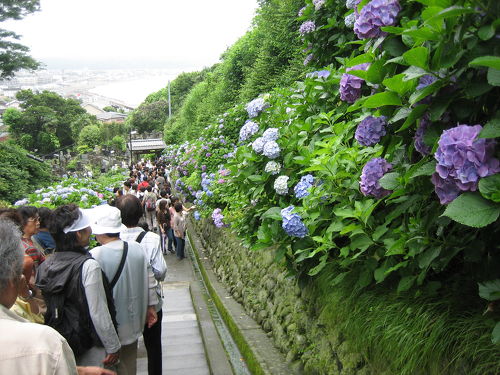 極楽寺駅」の周辺から：観光スポット・旅行・レジャーを探す ホームメイト