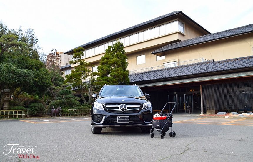 愛犬と過ごす本格旅館 月香 - 芦原｜ニフティ温泉