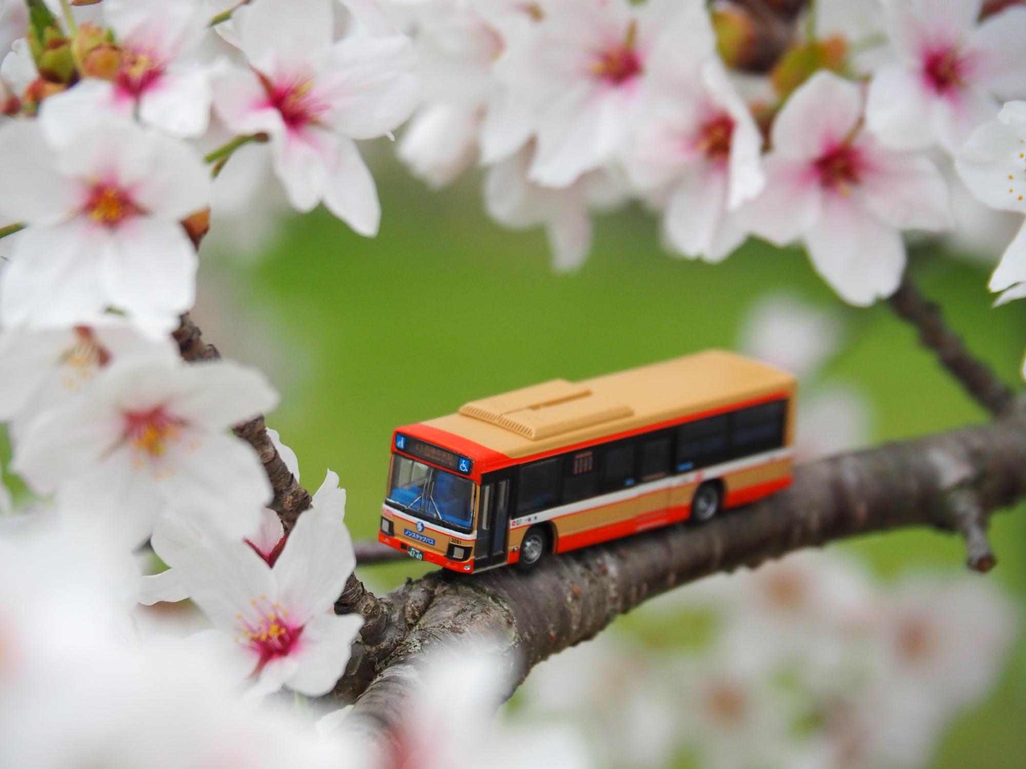 乗り物のある風景写真を募集、優秀作品はカレンダーになる「駅すぱあと 乗りものフォトコンテスト2022」CAPA CAMERA WEB