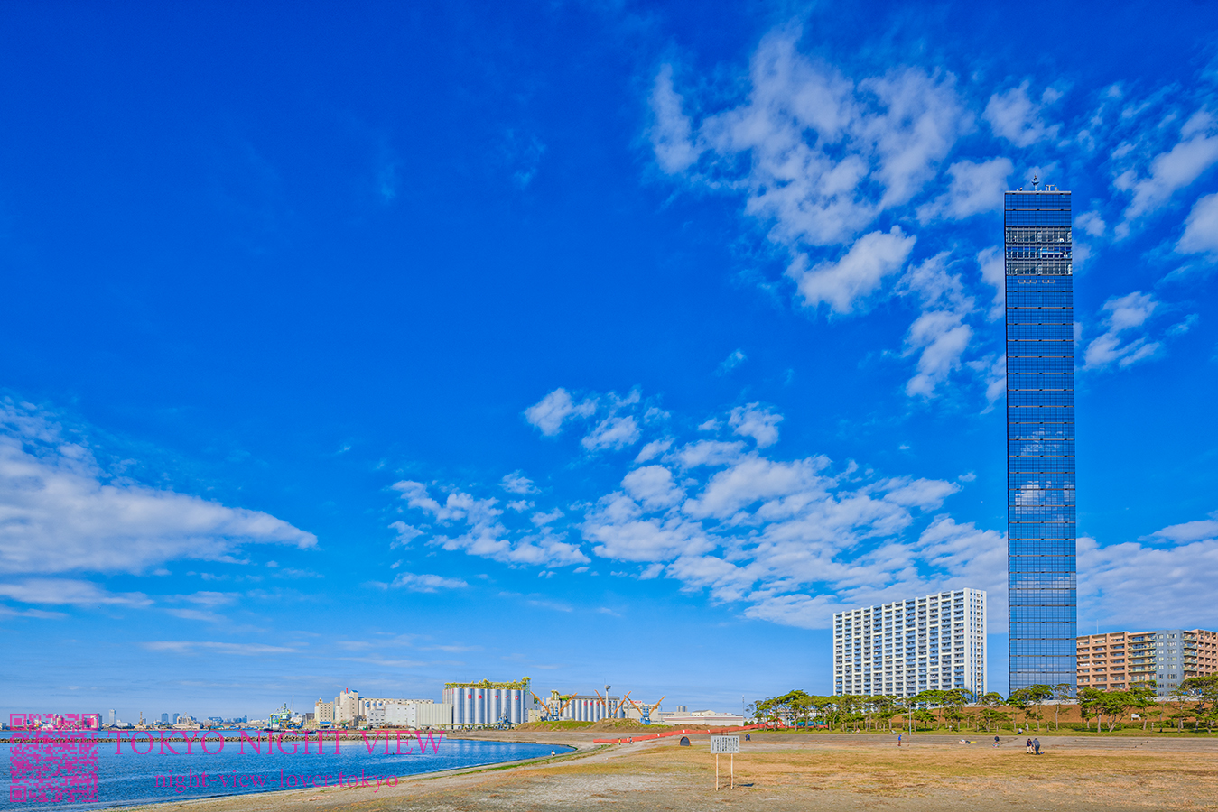 千葉ポートタワー 千葉県の夜景 営業時間や駐車場情報など夜景FAN