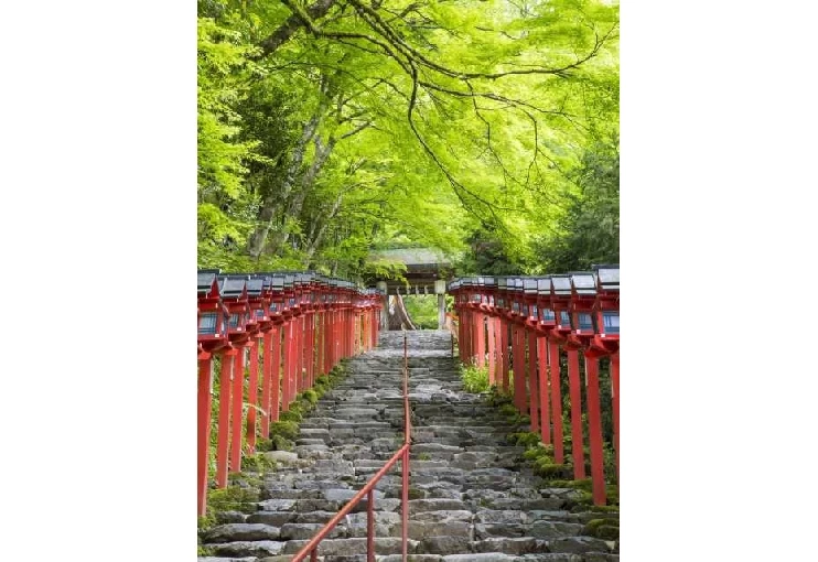 京都 インスタ映えの宝庫♡京都のおすすめ観光スポットを紹介 - おすすめ旅行を探すならトラベルブック女子旅