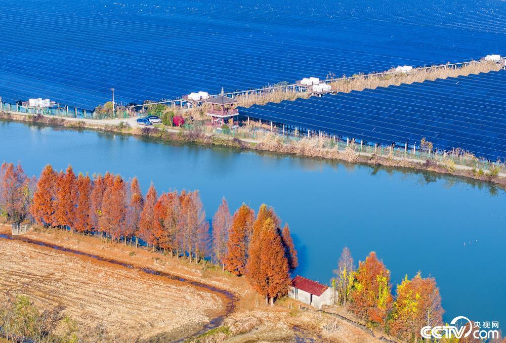 绿色发展示范案例 132 “绿水青山就是金山银山”实践创新基地——安徽省芜湖市湾沚区_中华人民共和国生态环境部