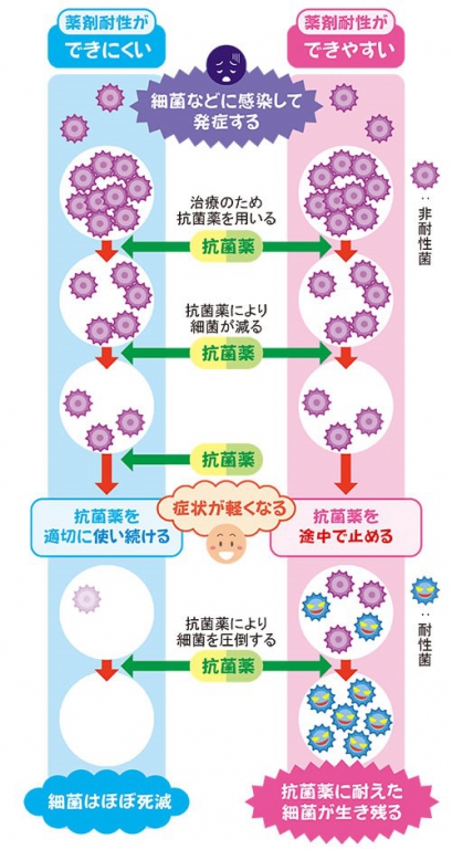 健康診断前日の食事や性行為・飲酒などの注意点について【運動やオススメの食べ物】 | ひまわり医院（内科・皮膚科）