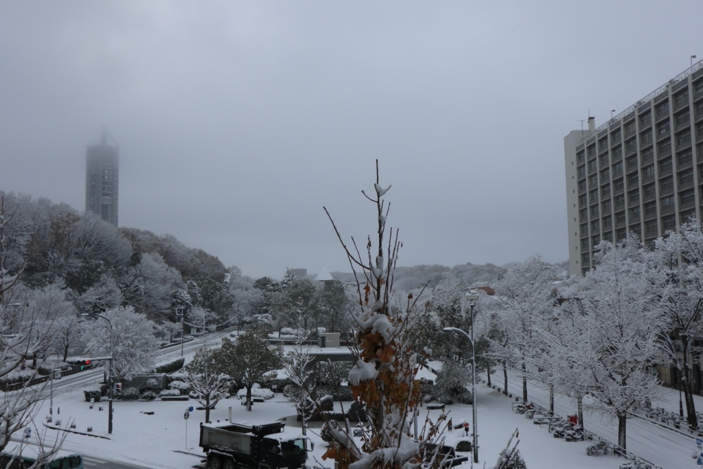 16.01.25】豊田市のうちの近所は雪はほとんどふっていませんでしたが、名古屋市内は、アイスバーン状態。 | もとむら伸子（日本共産党衆議院議員）