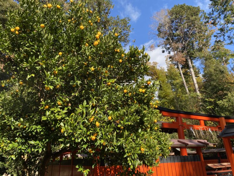 菓祖神社 - 京都市