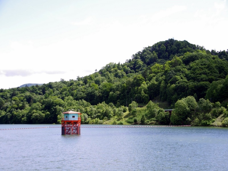 鵡川駅を出発するむかわ竜ラッピング。 ⁡ ダイヤ改正後も稼働してるみたいです。 ですが、昨日紫水号と国鉄色ツートンが
