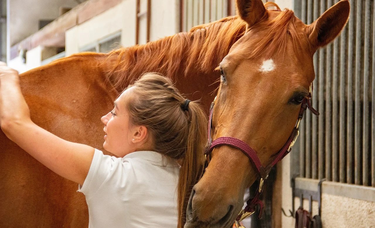 馬ディルドでアナニーしたら本当の馬とセックスしたくなる