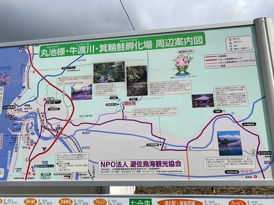 みちのく気ままなドライブ日記 - ２０２２年 ５月４日