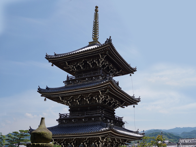 貝塚市 今年も開催！「デジタルアートフェスin水間観音2024」は2024年11月2日から開催です。号外NET 岸和田市・貝塚市