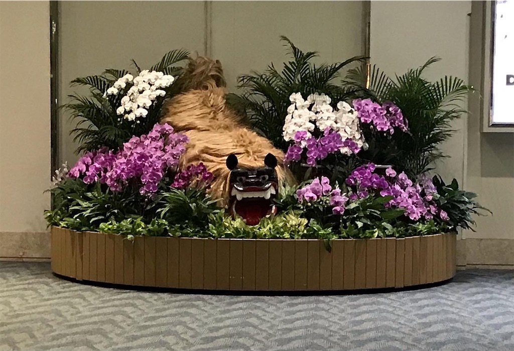 とても暑かった「大都会となっていた沖縄」に驚きました！！』那覇 沖縄県 の旅行記・ブログ by wtsnkeyさん