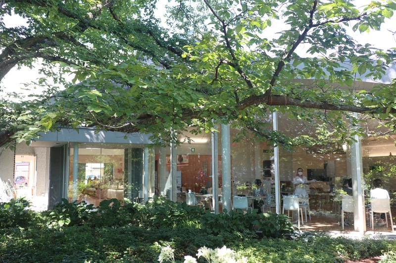 帯広限定銘菓も買える！六花亭札幌本店が新オープンウォーカープラス