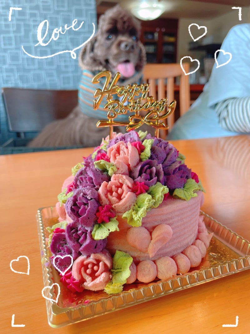 宇賀神ウガジン- 城ケ崎海岸 食堂食べログ