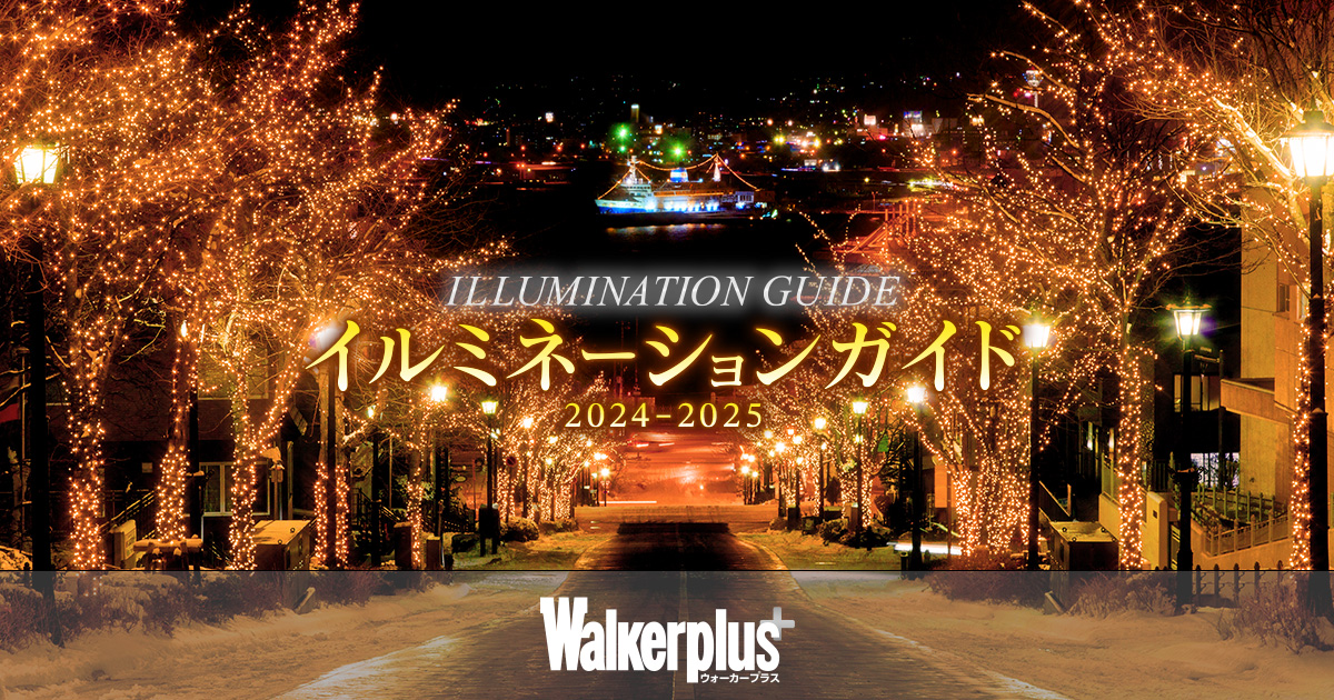 2024-2025 表参道イルミネーション最新情報まとめ！人気イベントやスポットを紹介aumo アウモ