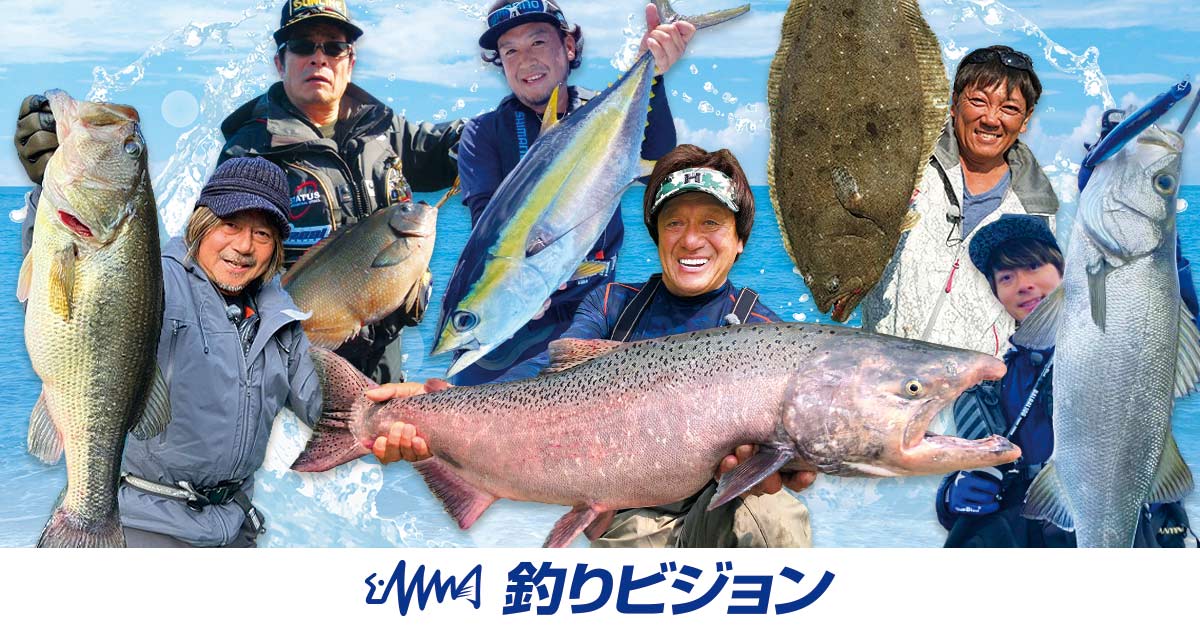 保田港の釣り場情報魚速報