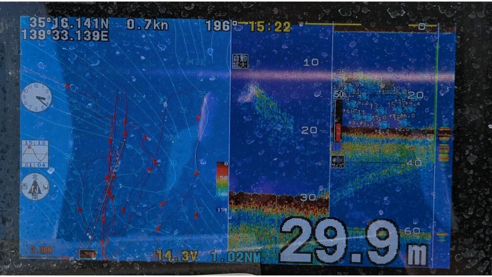 神奈川・葉山あぶずり港発、本ガツオが絶好スタート！釣りビジョン マガジン釣りビジョン
