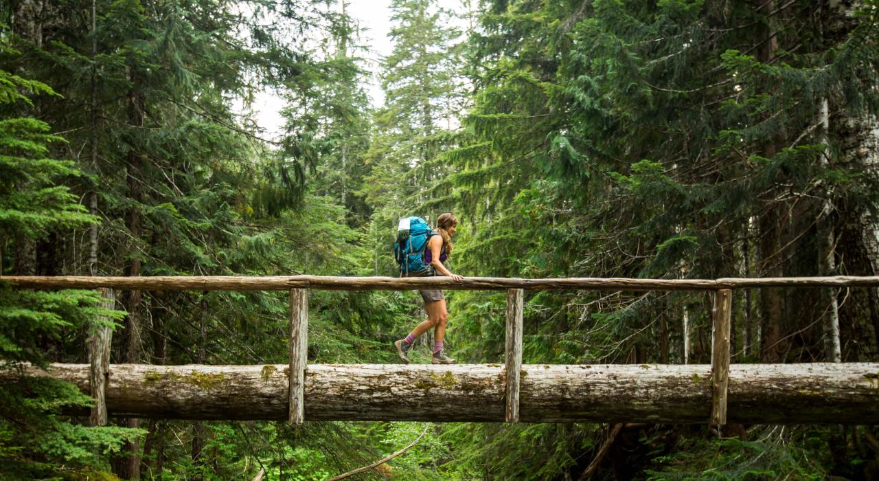 世界遺産オリンピック国立公園シアトル 旅行の観光・オプショナルツアー予約 VELTRA ベルトラ