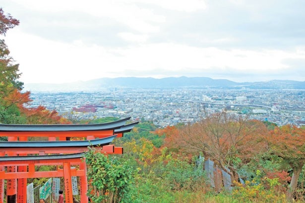 伏見稲荷大社の写真など。千本鳥居、夕暮れの稲荷山、四つ辻からの景色