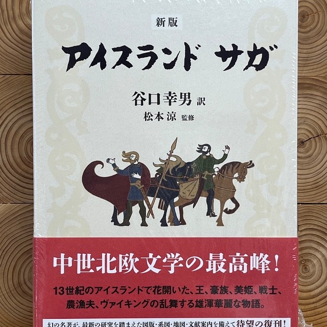 ヴァイキング乗馬＆グトルフォス・ゲイシール・エクスプレス 観光ツアー＜レイキャヴィーク発＞アイスランド アイスランド 旅行の観光・オプショナルツアー予約VELTRA ベルトラ