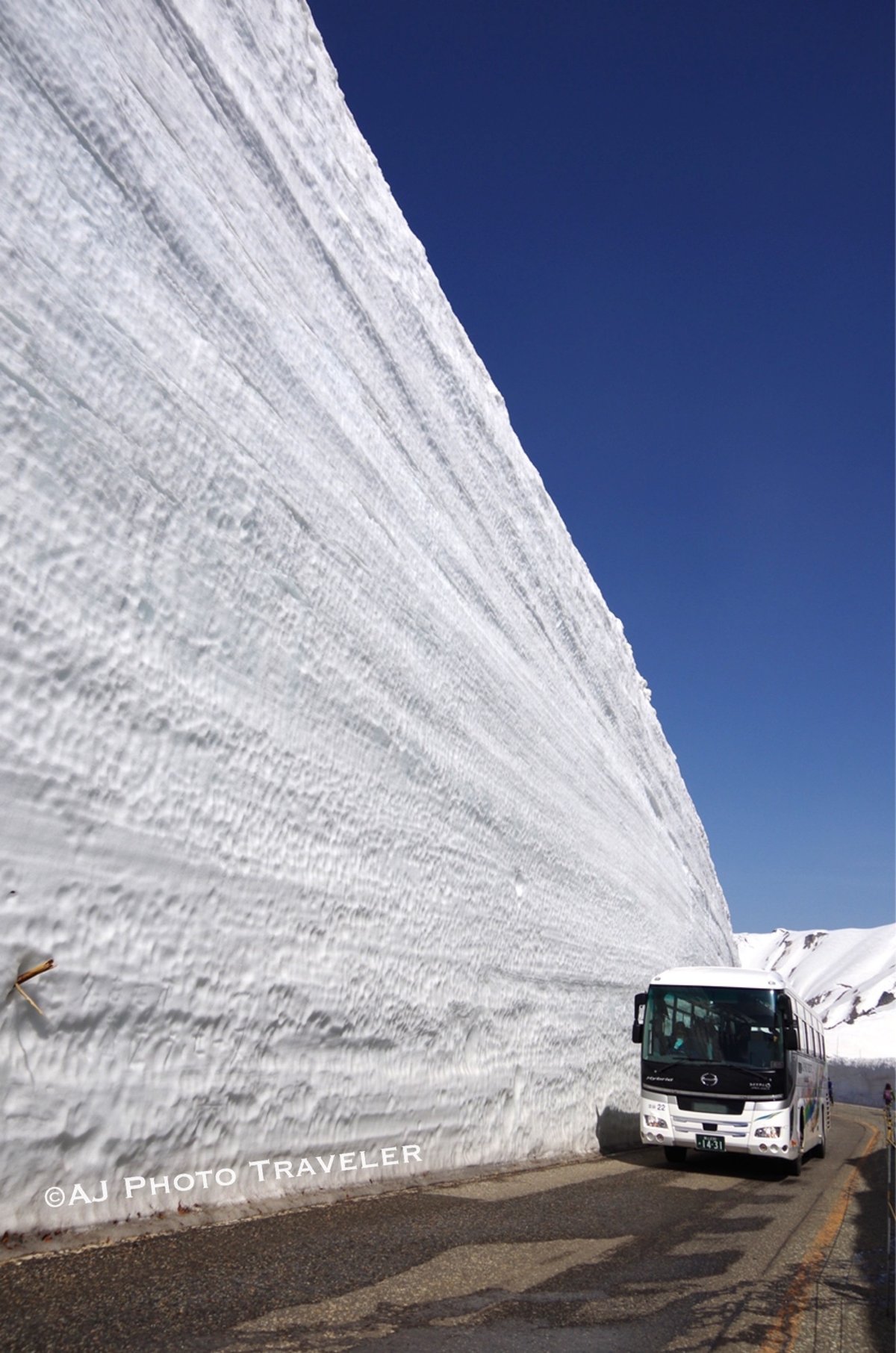 富山県 地勢図ベクター地図素材のダウンロード販売アフロモール