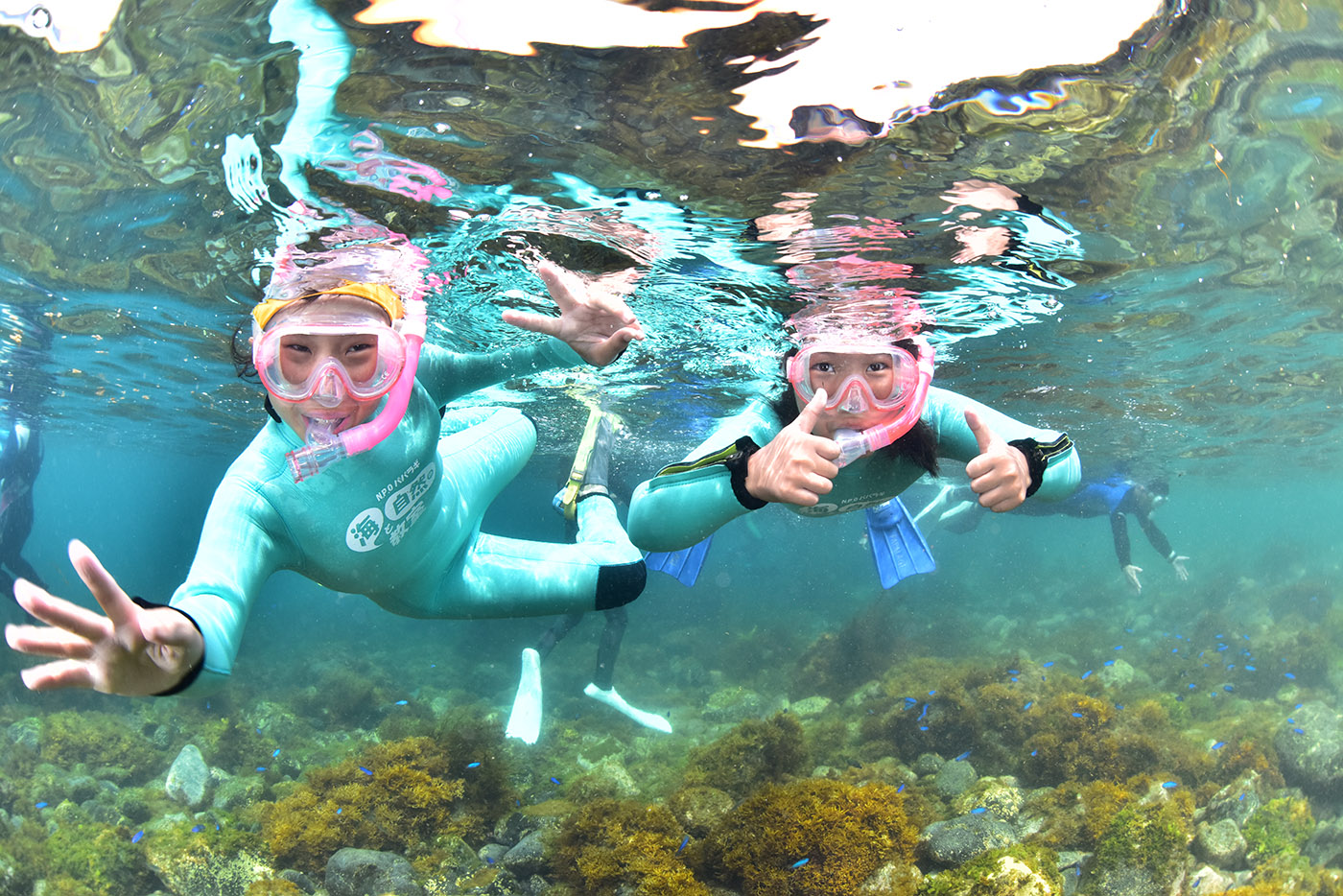 伊豆・下田 恵比須島・シュノーケリングツアーアクティビティジャパン