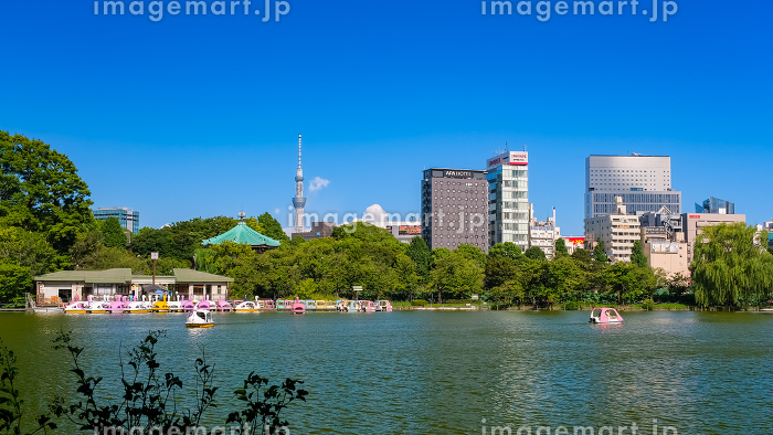上野東京ラインでパン屋をオープンするのにおすすめの駅は？開業に必要な準備や資格も徹底解説！テンポスフードメディア