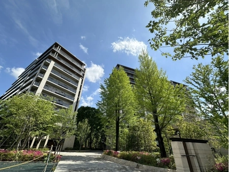 銀の森(^^♪ | 豊田市の老舗お茶屋農家じゅんぺいのブログ