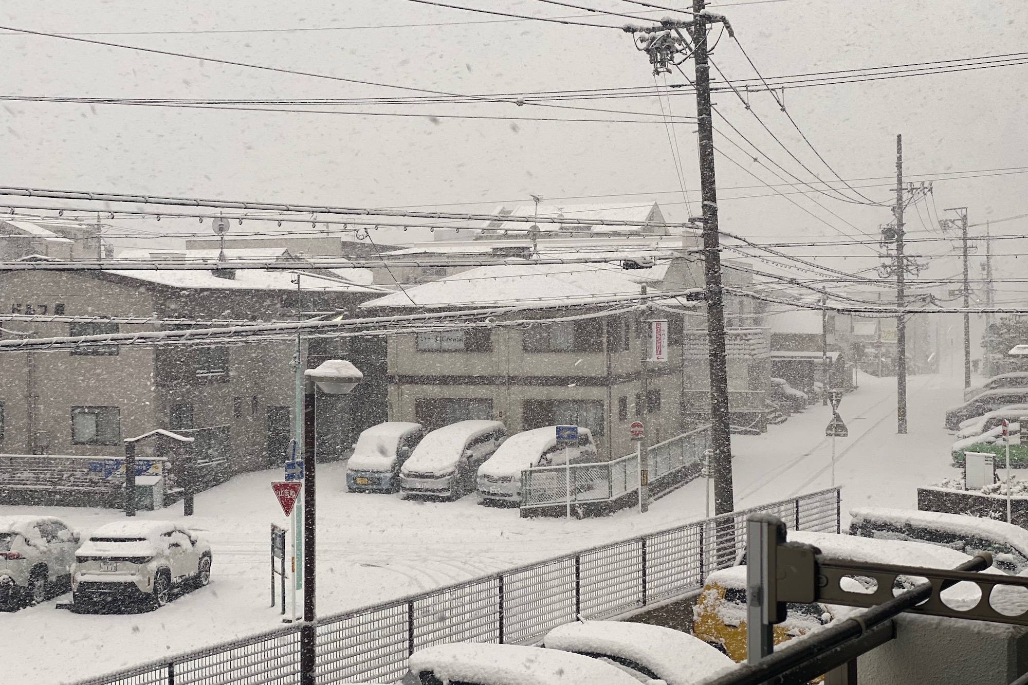 名古屋で今冬初の積雪 28日にかけ岐阜では警報級の大雪予想 | 毎日新聞