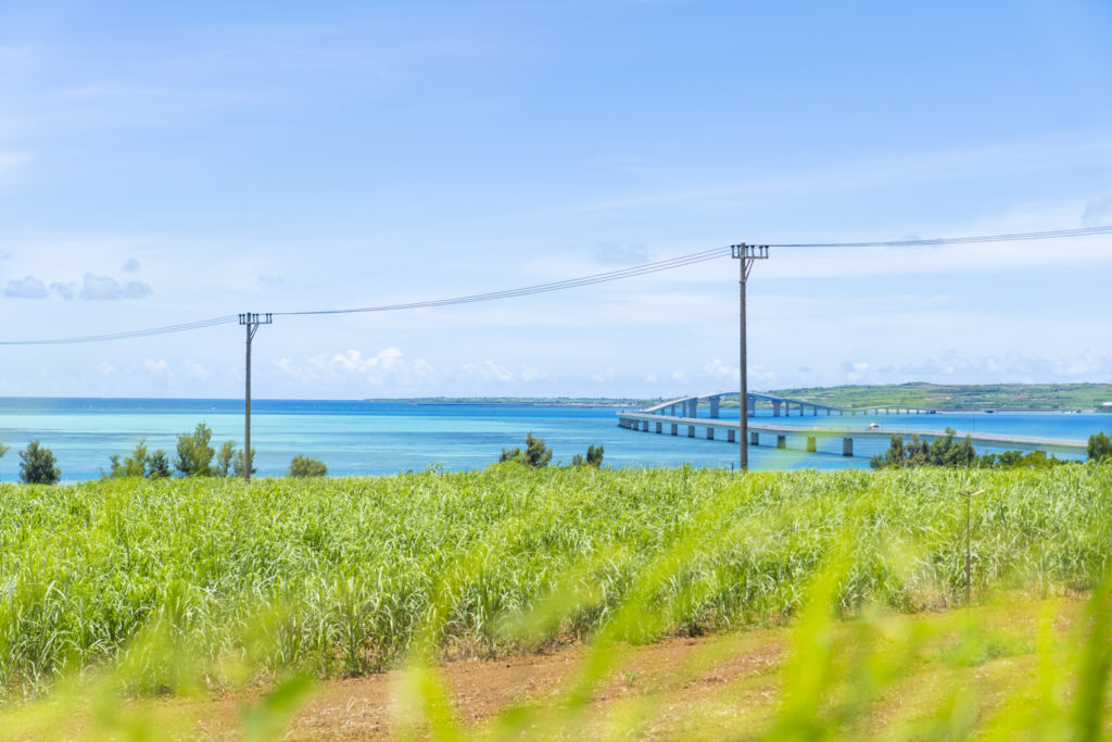 池間大橋 海美来 かいみーる宮古島市の口コミ93件 - トリップアドバイザ