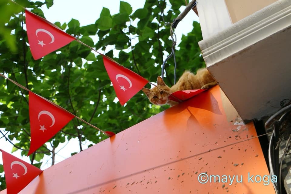 東京製旗 国旗Ｎｏ．１ ７０×１０５ｃｍトルコ