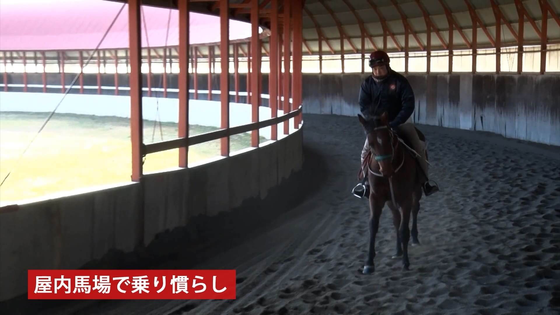 競馬調教の見方 | 競馬で勝つ方法