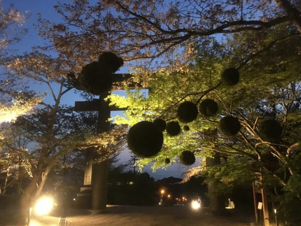 太宰府 竈門神社の紅葉が見頃 ライトアップを見てきた もみじ祭り何でもライトに楽しむ