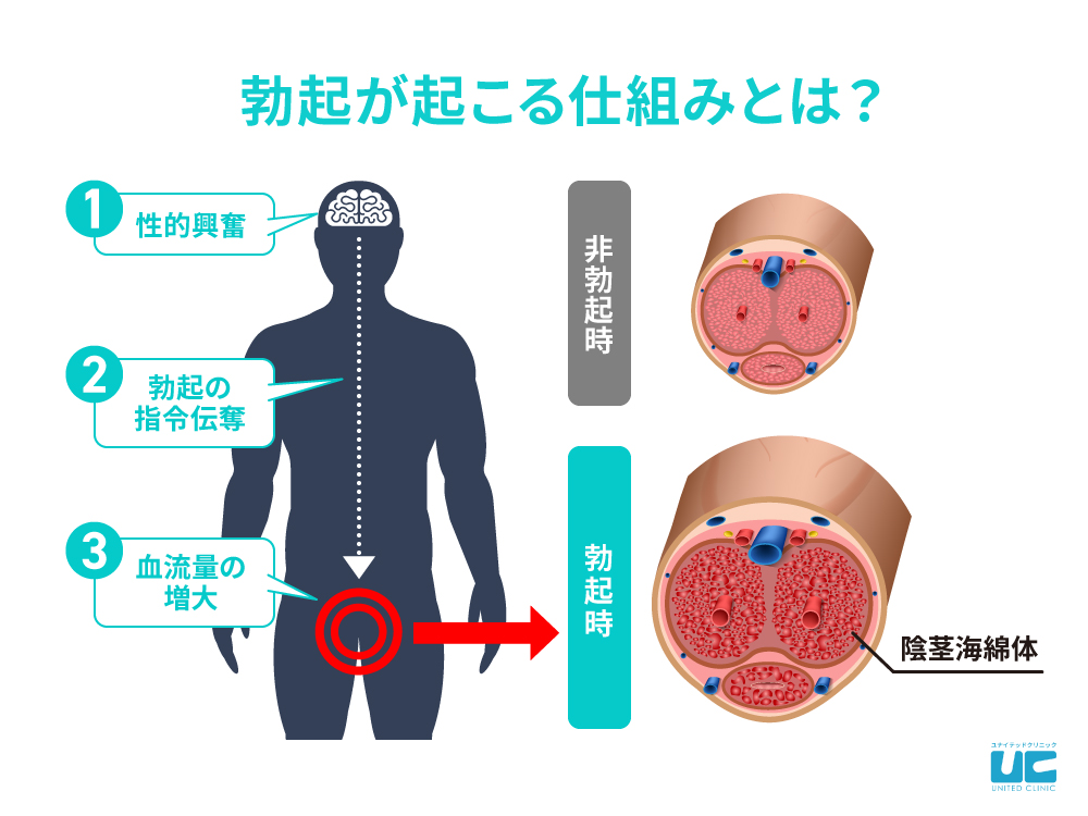 作品「絶対に手を出してはいけない相手でも場所でも小さいおち○ちんが勃起するまでを見て発情してしまった淫乱女子は情熱的に男を求める！！」の画像13枚 - 