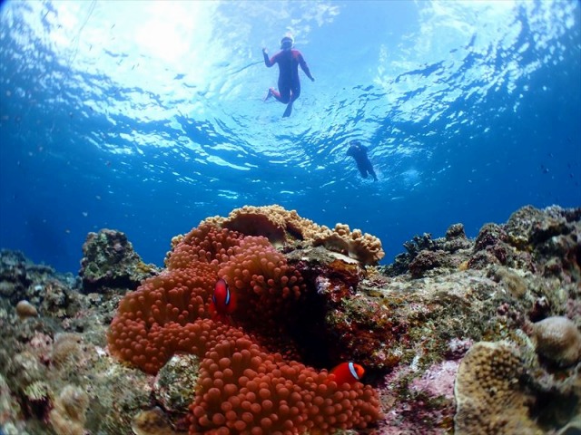 石垣島でダイビングデビュー☆初心者におすすめのスポット＆体験ダイビングサービス│国内旅行・ツアー・LCC情報ならエアトリMagazine