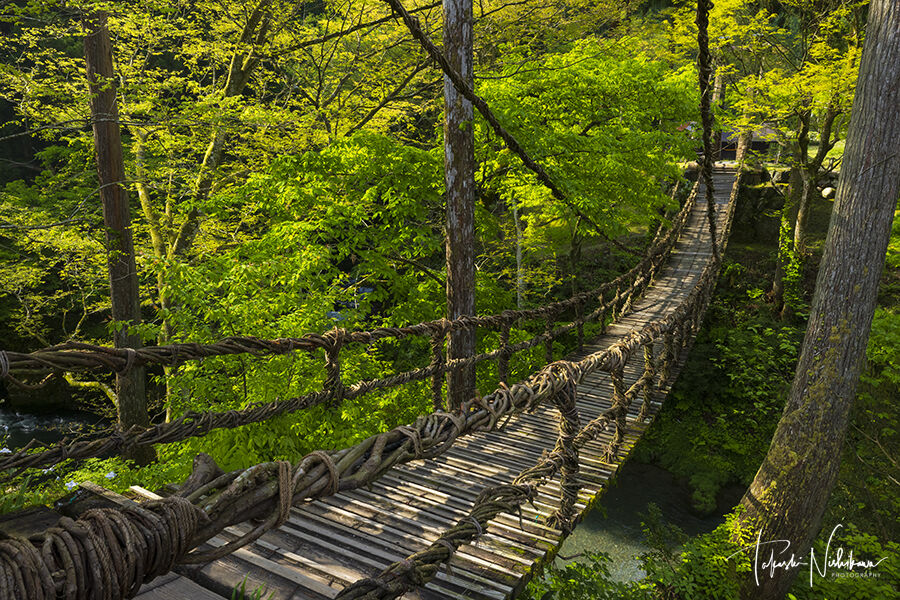 寸又峡 夢の吊り橋の見学のポイントと周辺のグルメスポットをチェックしよう - まっぷるウェブ