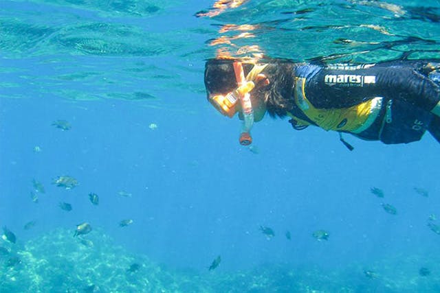 伊豆・下田 恵比須島・シュノーケリングツアーの予約体験 レジャーカーライフ・カー用品サイトMOBILA モビラ