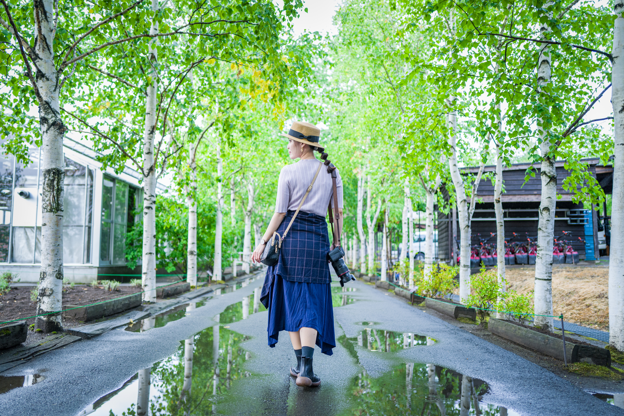 関東の夏休み格安旅行特集2026おすすめツアー・ランキング