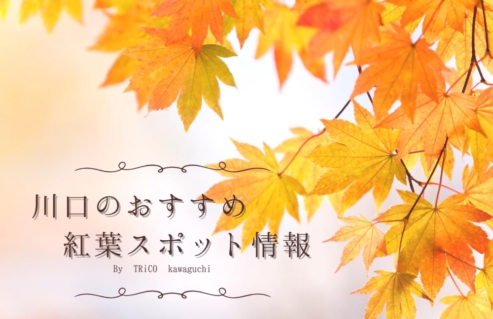 2024年】新居浜市内の紅葉スポットまとめ | 新居浜・西条のおでかけスポットご紹介| まいぷれ[新居浜市]