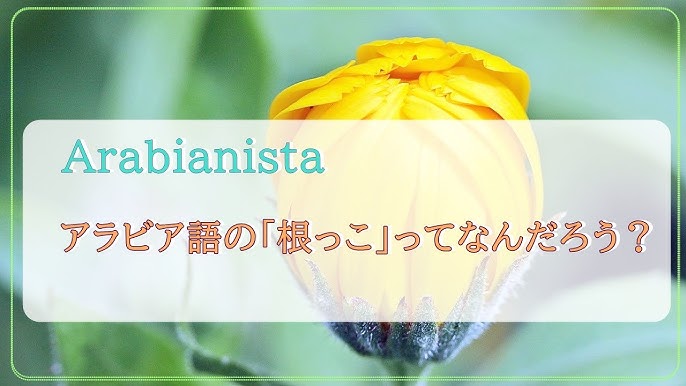 サウジアラビア国境 ドバイから行く秘境のリワ砂漠 ツアーも紹介